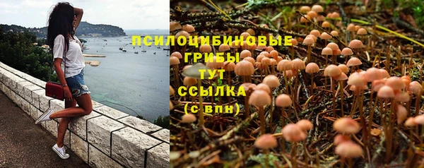 прущая мука Заволжск